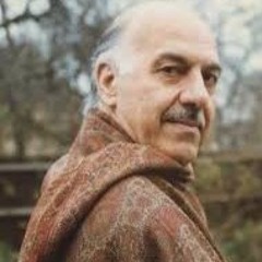 دیدم همان فسونگر مژگان سیاه بود
