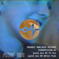 Organic Analogue Transmission guest Mix's From DJ GUY & White Peak