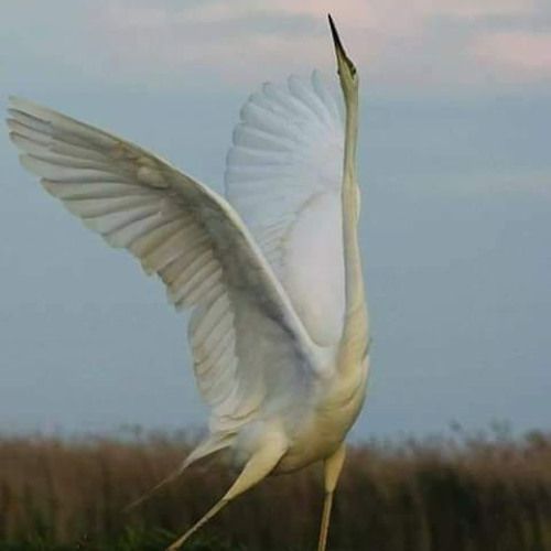 The keys to the new apartment. This Podcast on other platforms.