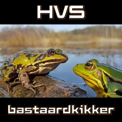 HVS - Bastaardkikker