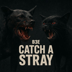 Catch a Stray (prod by AnswerInc)