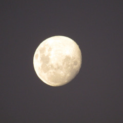 MOON GLOW.