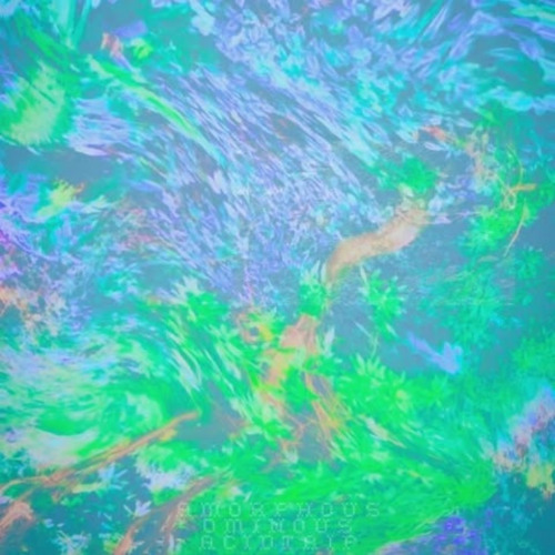 Into Midnight The Shadows Go