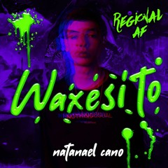 Natanael Cano -Waxseito 2020