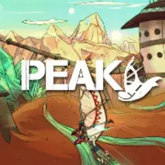 PeakTime Basement #002  22025-09-19