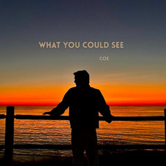 What You Could See (Drake x Vegyn Mashup)