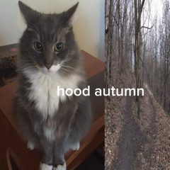 hood autumn (first track in my new life)
