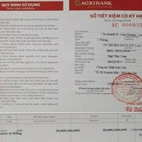 Làm sổ đỏ giả tphcm