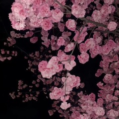 Jakone, Kiliana – Но повеяла юность запахом сладким