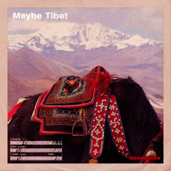 Lost Dubs 016 - Maybe Tibet (2007)