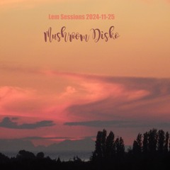 Lem Sessions 2024-11-25 - Mushroom Disko