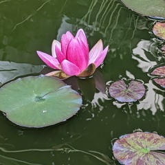 ils m'attendent en bas