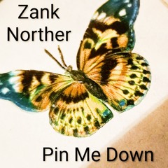Pin Me Down