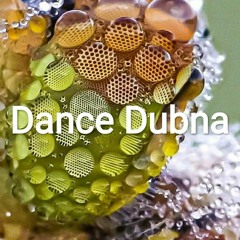 EcstaticDance Dubna live - 26.09.2020 w/DJ Mike Azal