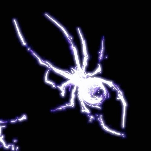SP1DER SOC1ETY ft. Cinco [prod. Evanson]