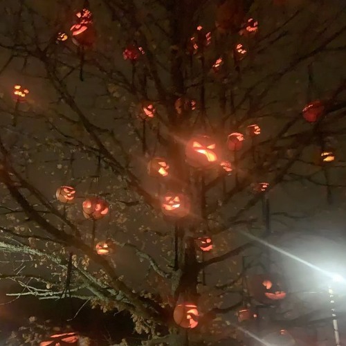 and the crown goes to..