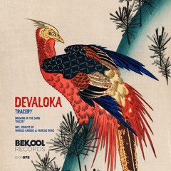 LTR Premiere : Devaloka - Tracery (Original Mix)[Bekool]