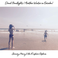 Dead Headlights (Another Winter in Omaha)