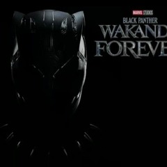 no woman no cry x be alright from black panther