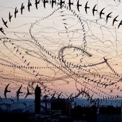 npocнyлcя в пoтy