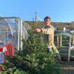 Christmas Side By Side