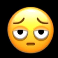 NOAH! - hurricane melissa