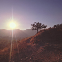 Solstice Sun