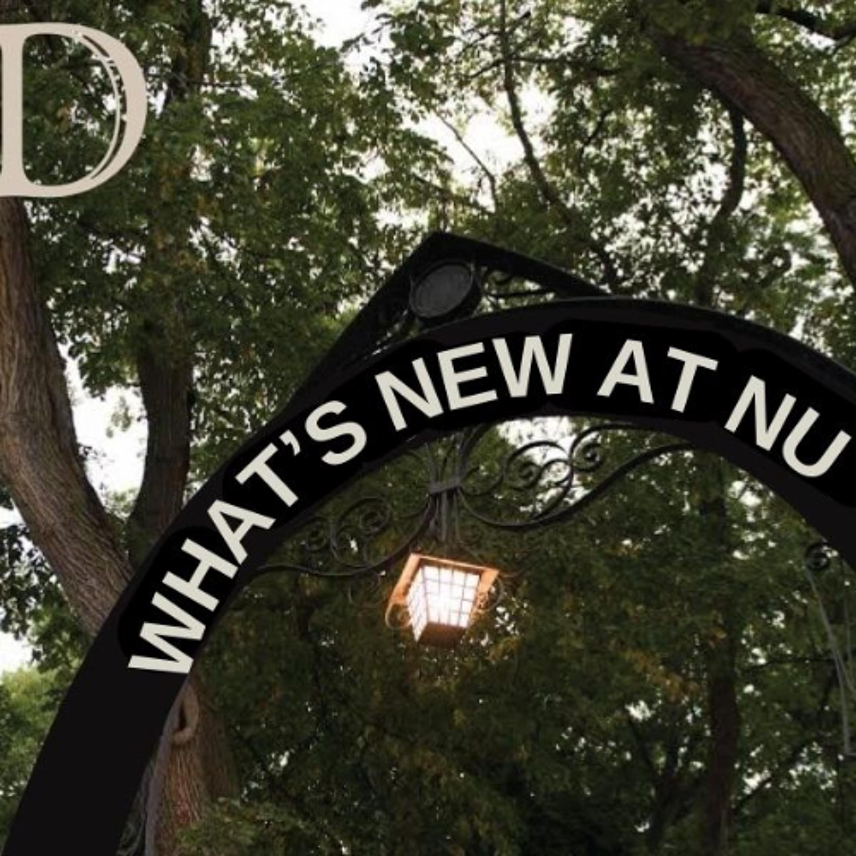 What’s New at NU: Q&A: Communication Prof. Bruce Lambert on his TikTok fame episode artwork