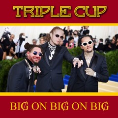 TRIPLE CUP 001