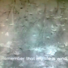 аокигахара (prod. @isteria_emo)