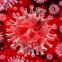 The Virus (Quarantine Mix)