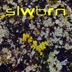 These foolish things