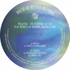 Lost In Ether | P R E M I E R E | Polanski - Hypnosja (Rick Vayo Remix) [House of Reptile]