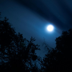 Feelnight