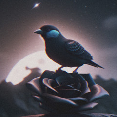 if you were a bird. (prod. blackrose)