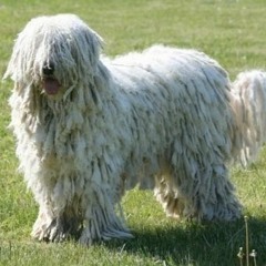 zee! ~ untitled1 (prod.mexikodro)