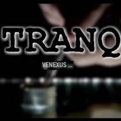 Venexus - TRANQ(🆅🅴🅽🅴🆇🆄🆂 Original Beats) (Headphones are highly recommended)
