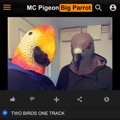 MC Pigeon X Big Parrot- Two birds one track