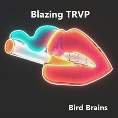 Bird Brains- Blazing TRVP