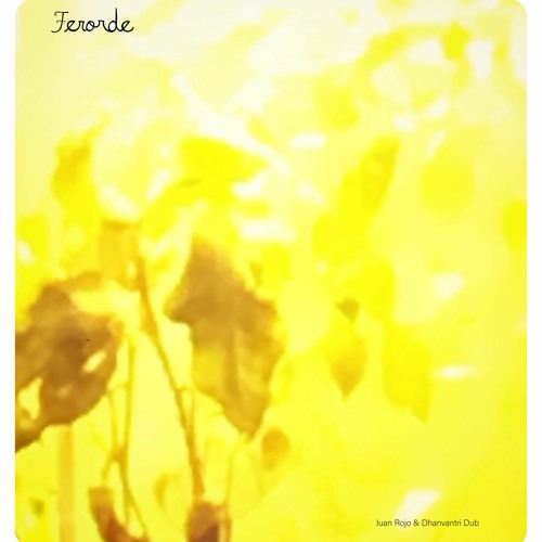 Ferorde feat Dhanvantri Dub