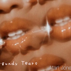 Burgundy Tears (FreeStyle)( Prodby. Level )