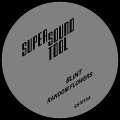 Blint - Random Flowers
