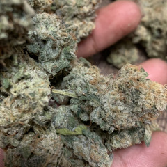 JvkeDawg - STANDOUT Ft. Kyz (Prod.JvkeDawg)