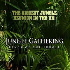 Jungle Gathering - September 2023 - Mickey Finn And Bassman And MC Sypda (10 MINUTE SAMPLE)