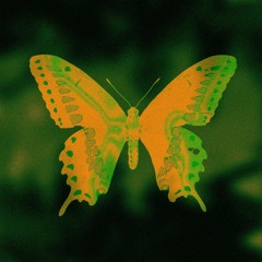 Daniel Allan, Georgie O´Brien, ETS, Arms - Butterflies [Kad Remix]