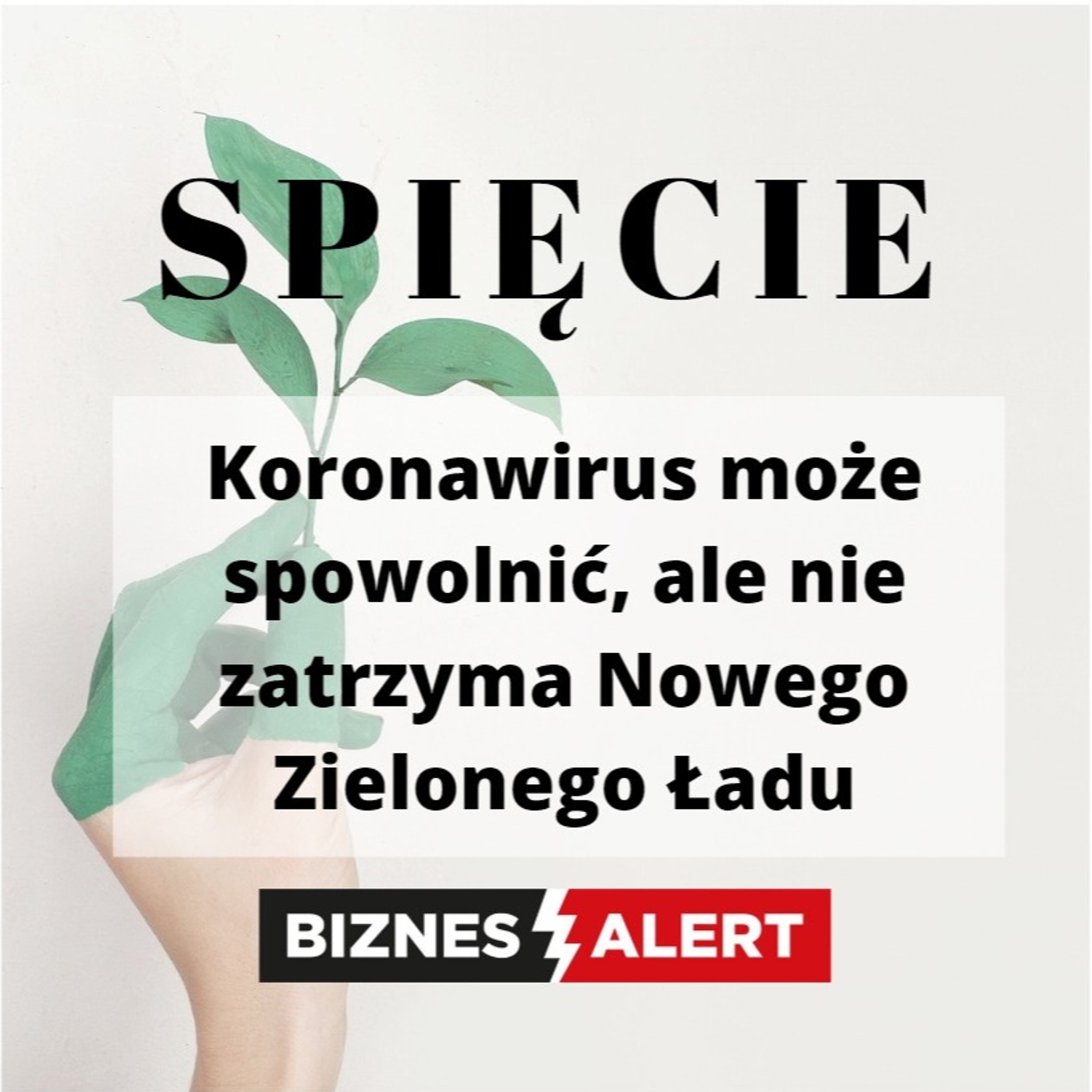 BiznesAlert.pl