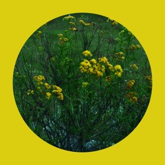 HRRRA - No Hope