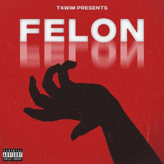 T$WIM- Felon