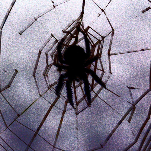 Ming Yao, the Snow Princess [Take 2]