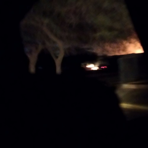 1:05_am_session_renamed_is_this_love_rec_8:13_pm